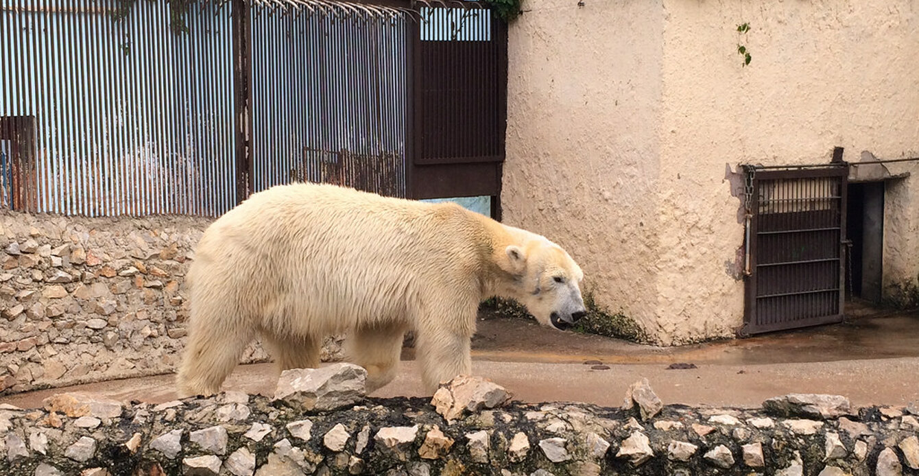 Palic Zoo