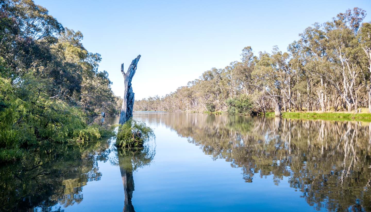 Nagambie Library