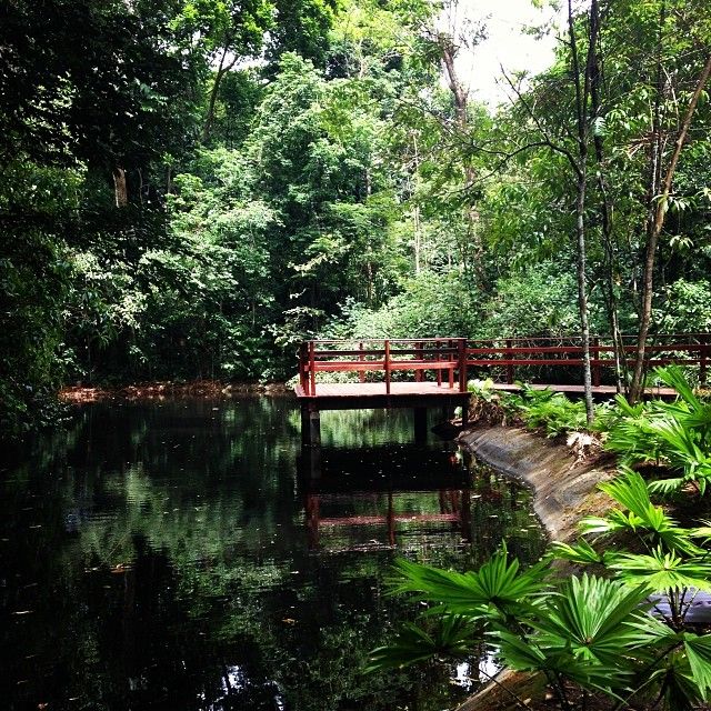 Jardim botânico