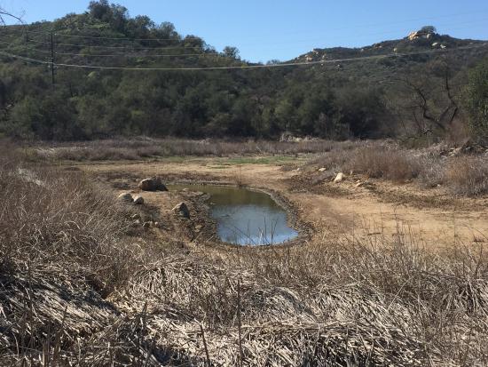 Daley Ranch