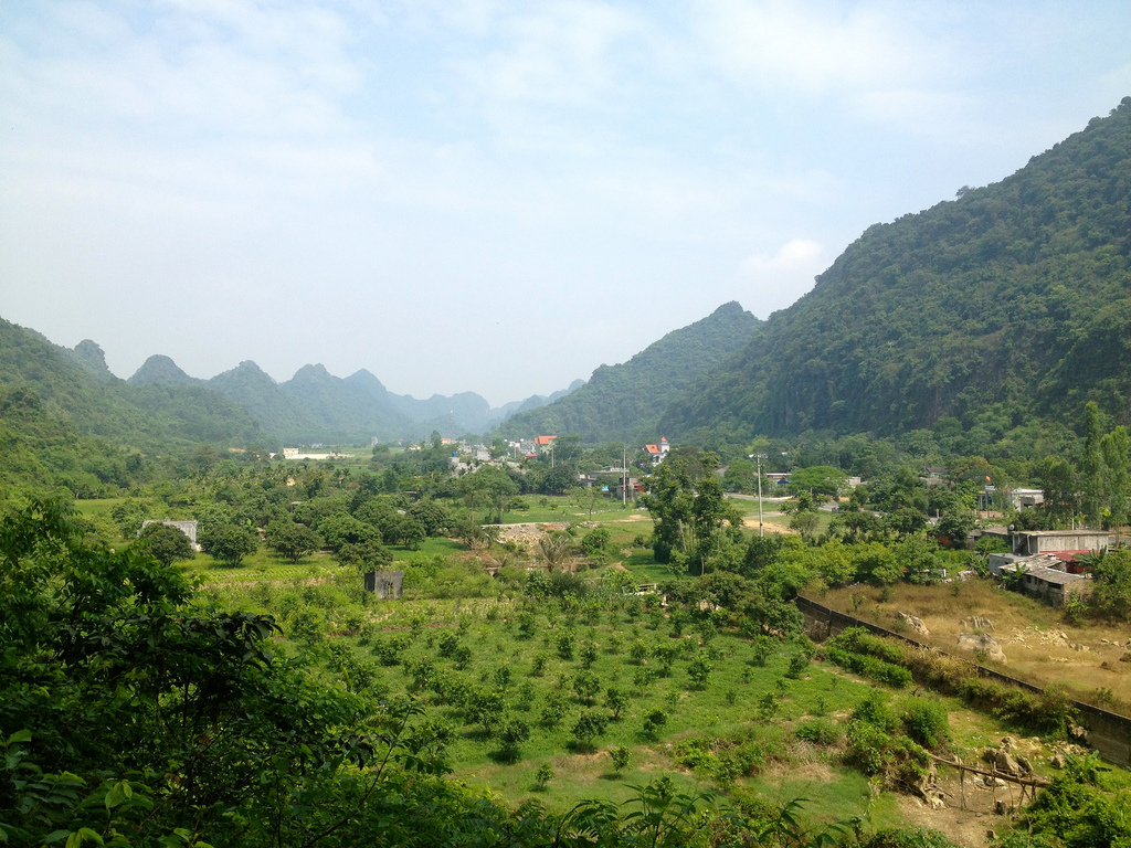 Cat Ba National Park
