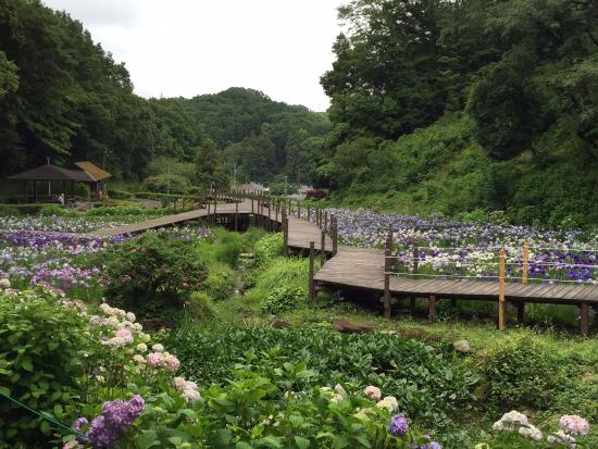 Ibogawa Seseragi Park