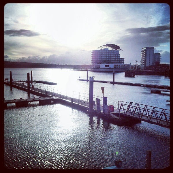 Cardiff Bay Wetland Reserve