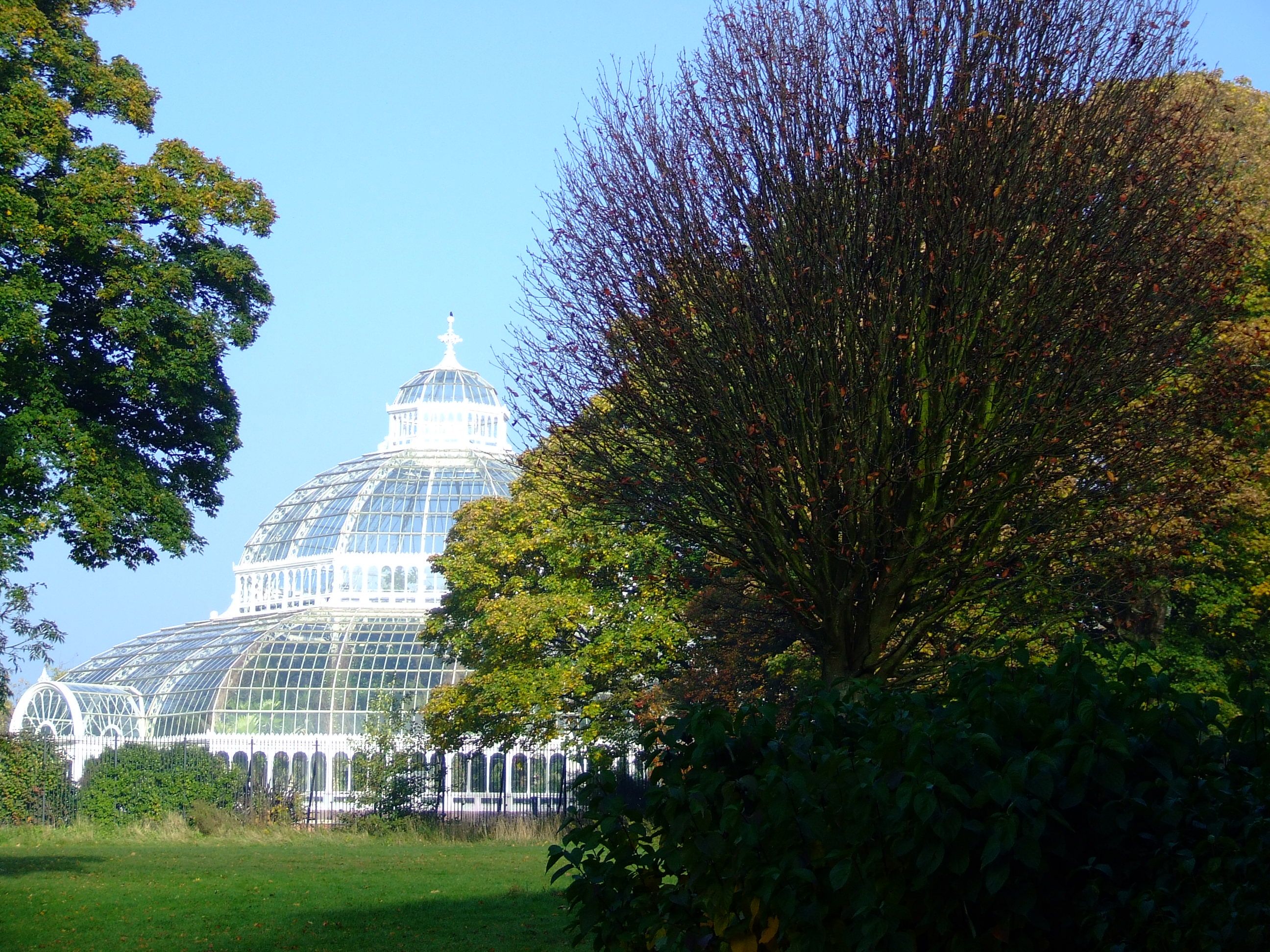 Palm House