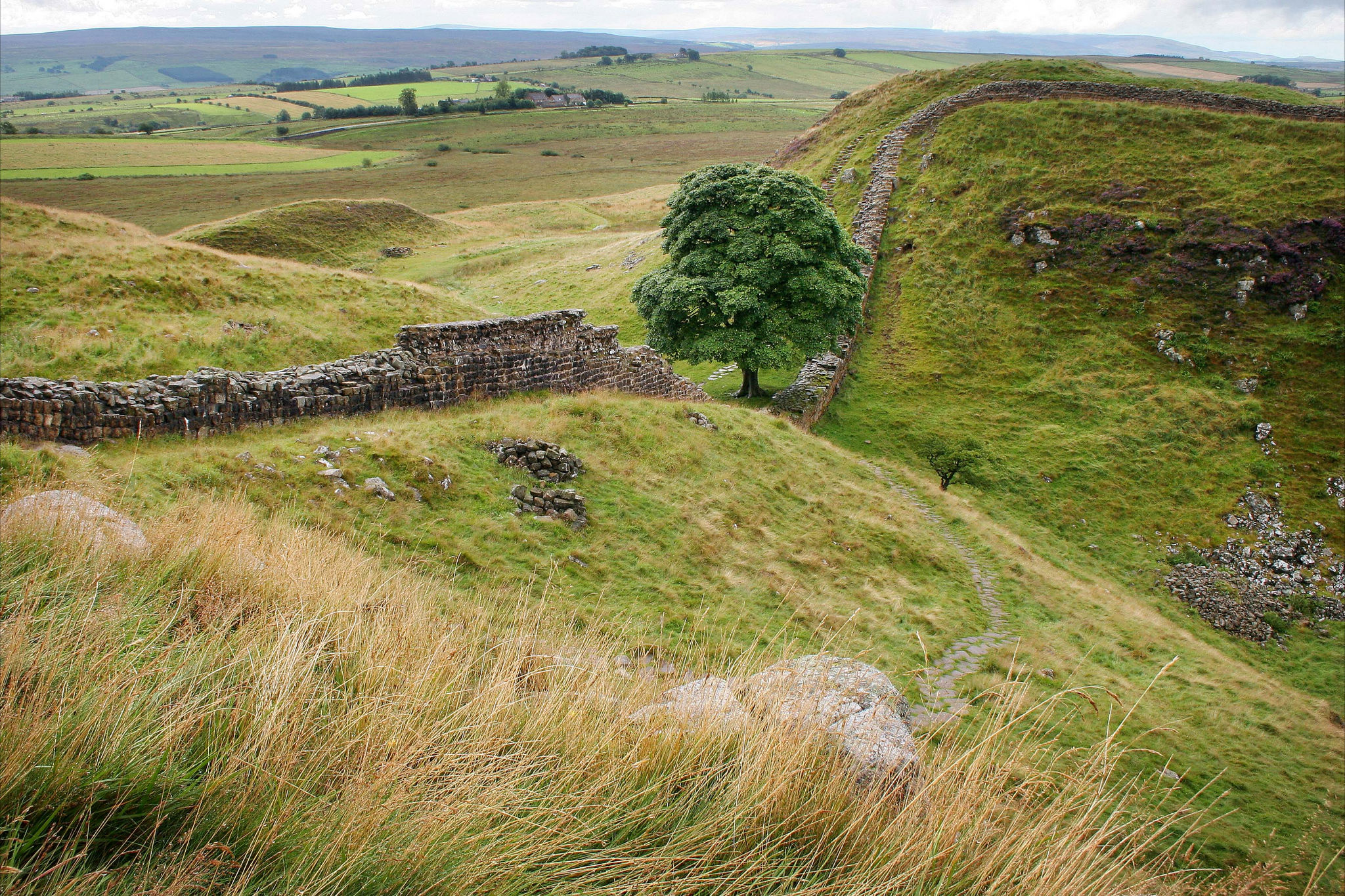 Sycamore Gap