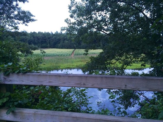 Nashua River Rail Trail