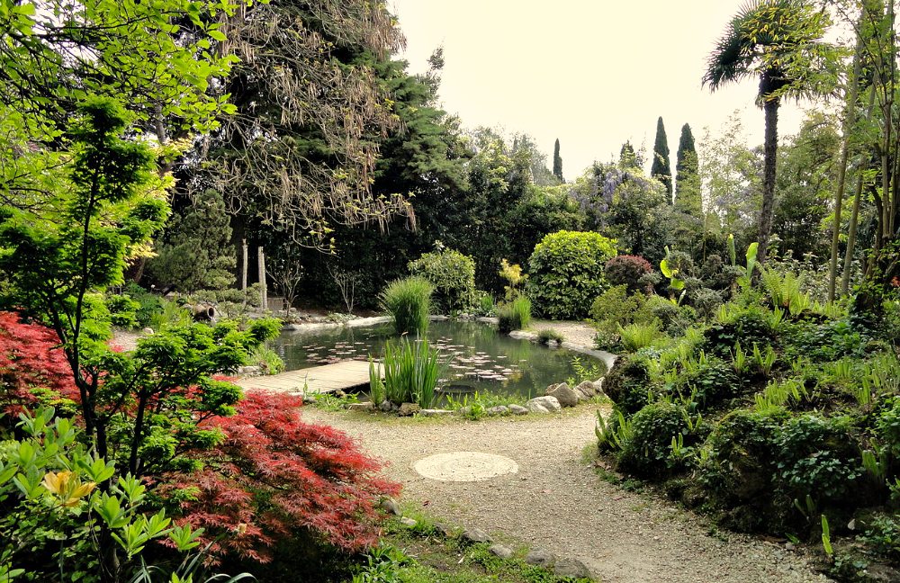 Giardino Botanico Nuova Gussonea