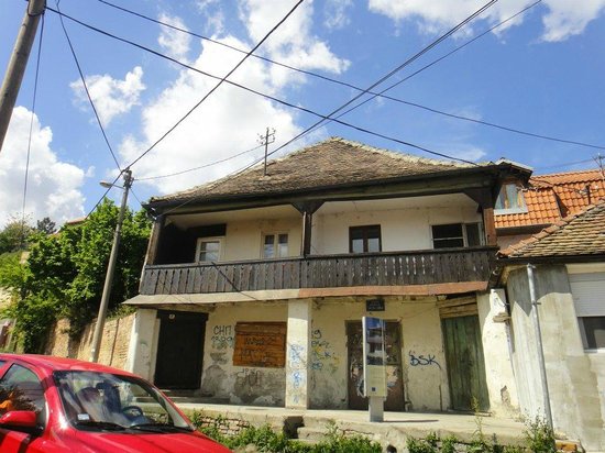 Beli medved