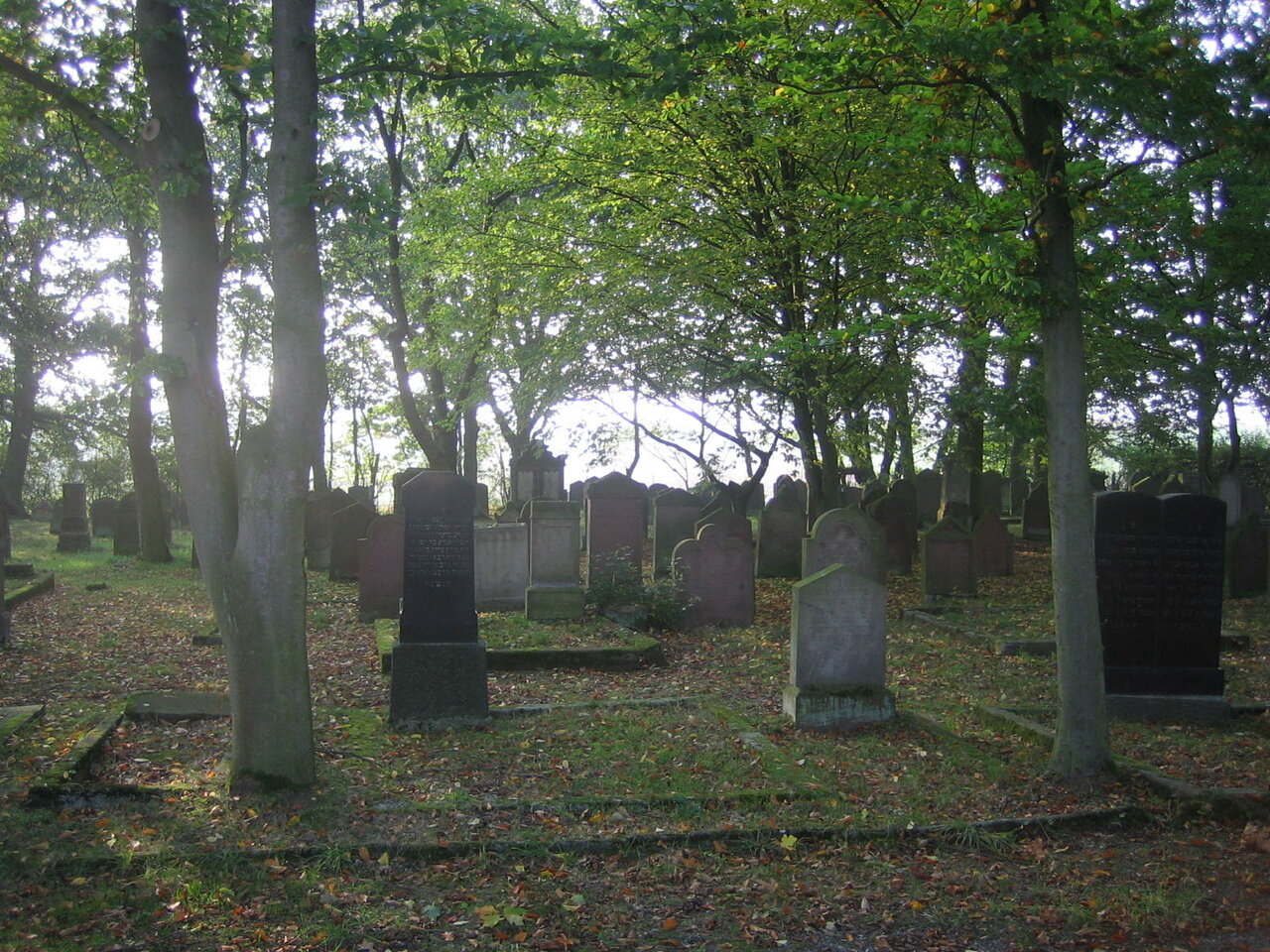 Friedhof am Hoernli