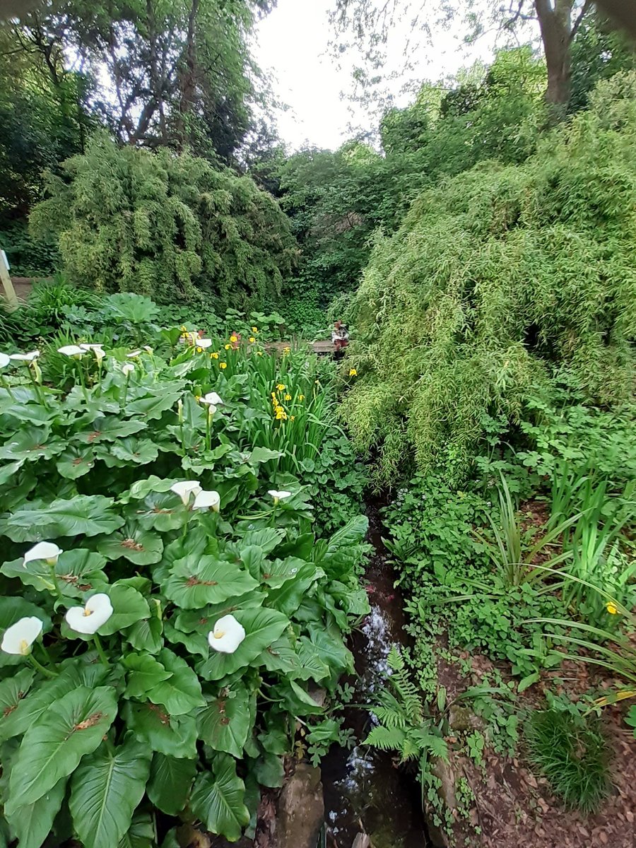 Eastcliff (Mules) Park