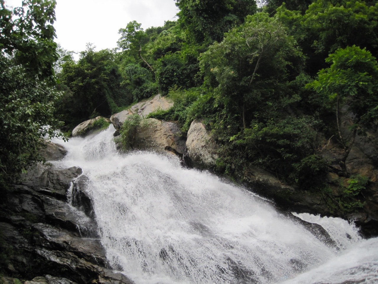 Monkey Falls