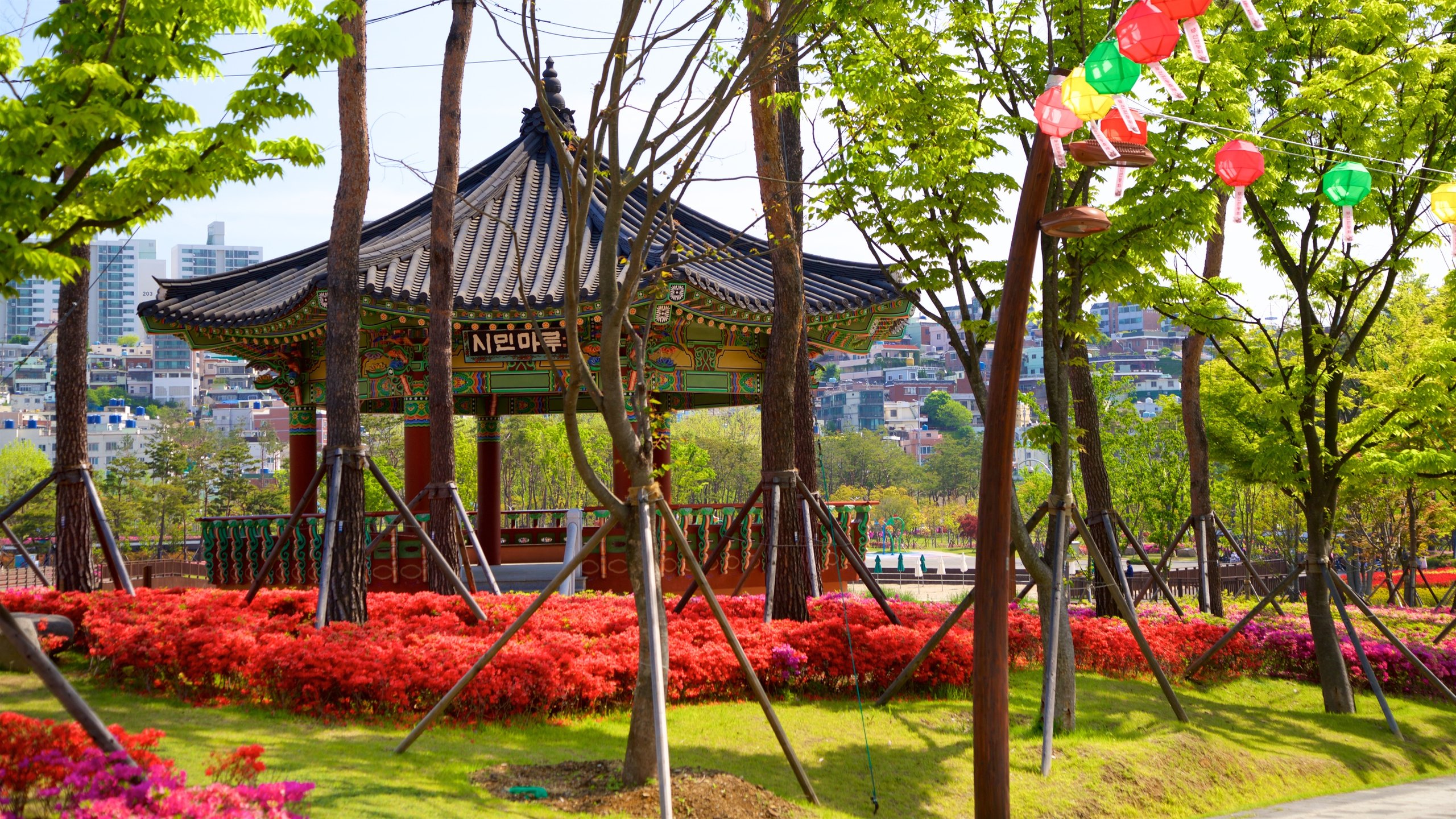 Busan Citizens Park