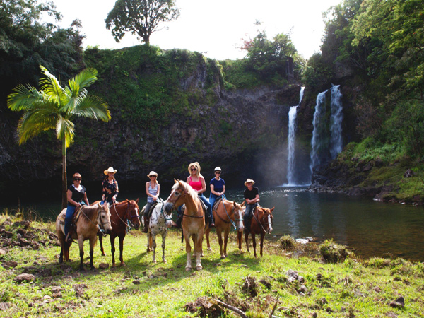 Isla de Banos Horse Riding