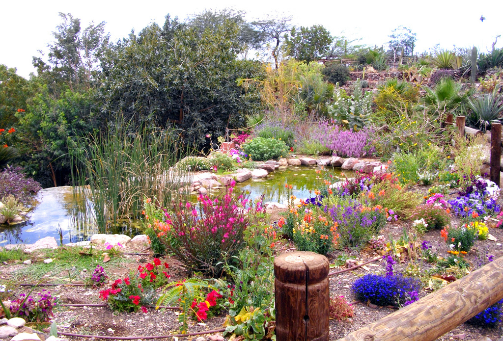 Botanical Garden Of Eilat