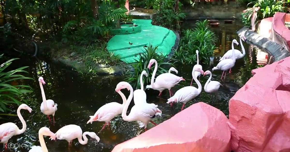 Langkawi Wildlife Park