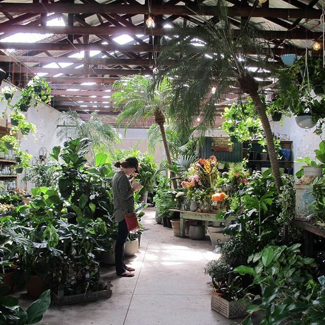 St Davids Plant & Garden Nursery