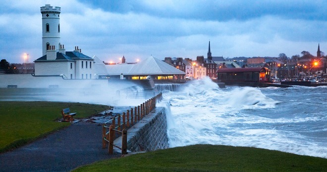 Arbroath Sea Safari
