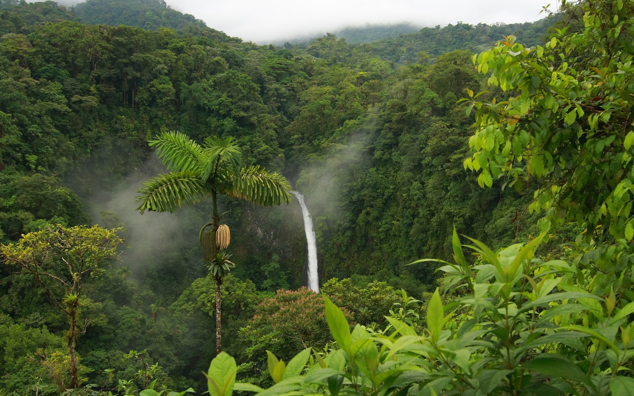Nanjing Paradise Tropical Rain Forest Reserve