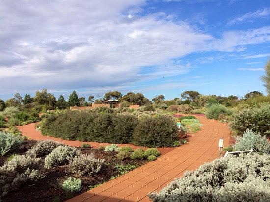 Australian Arid Lands Botanic Garden