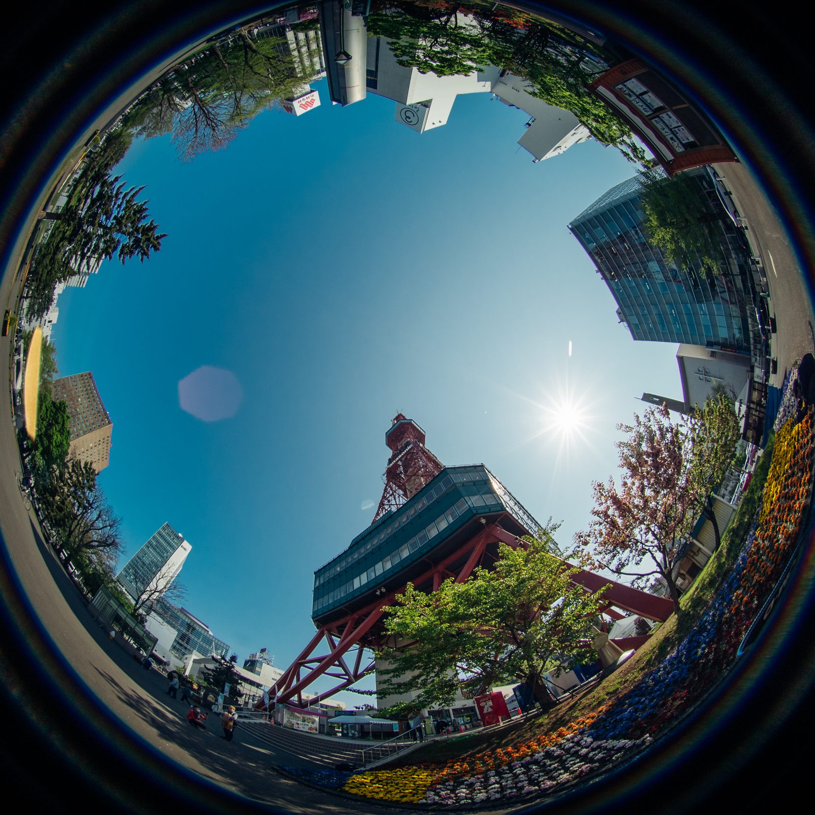 FishEye