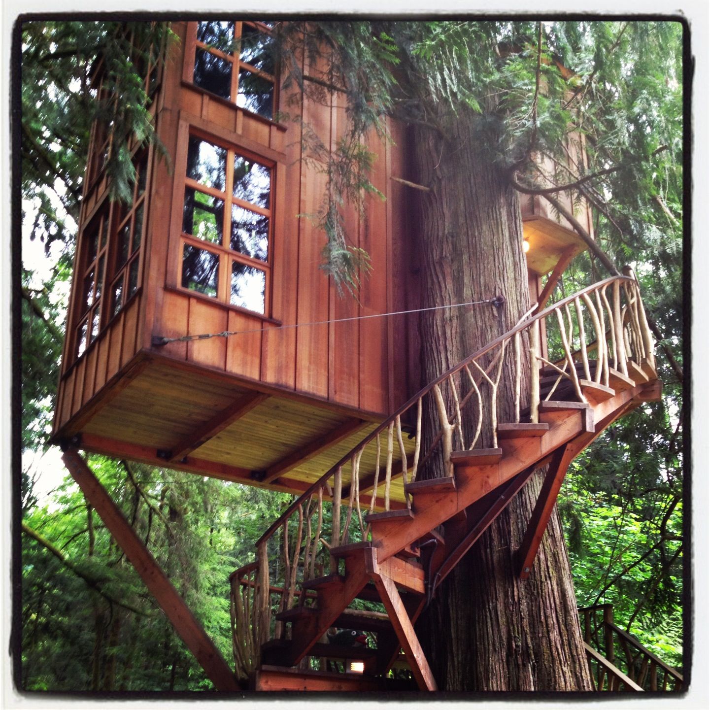 Tree House