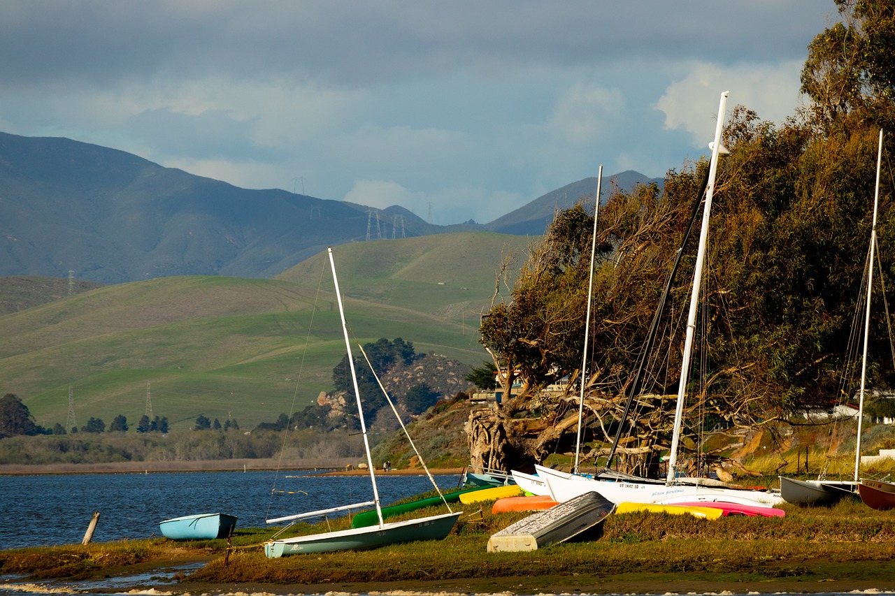 Baywood Park Pier