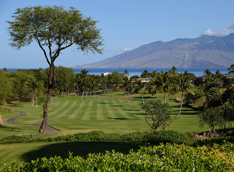 Wailea Old Blue Course