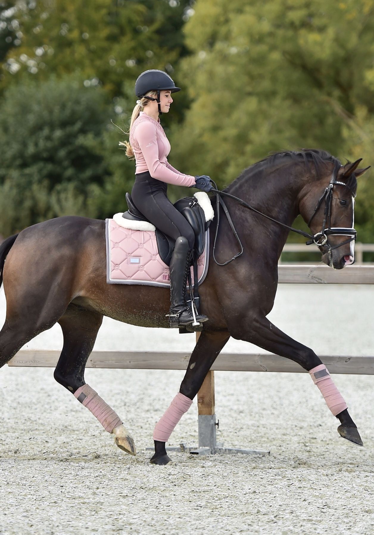 Madonna's Equestrian Academy