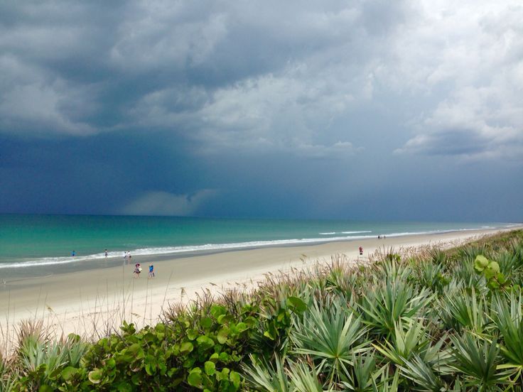 Canaveral National Seashore