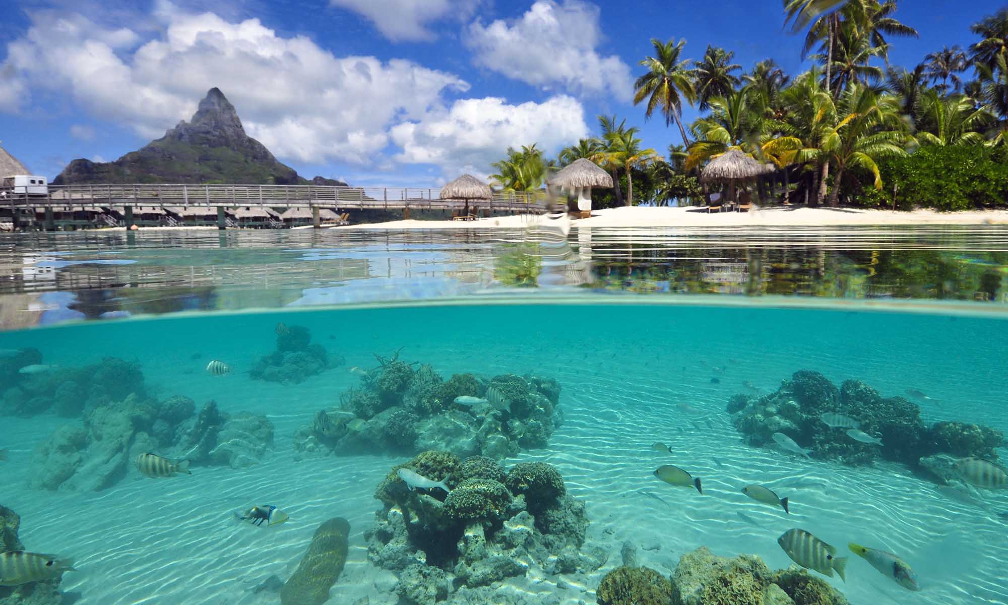 Tahiti Lagoonarium