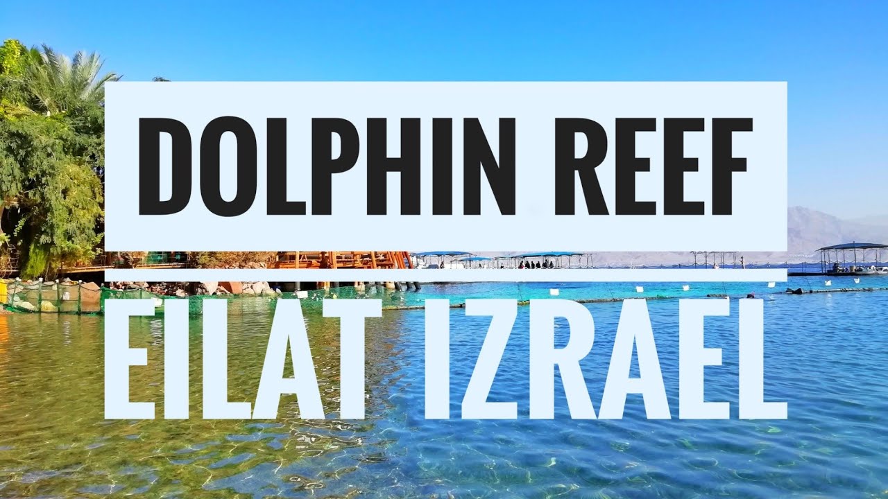 Dolphin Reef - Relaxation Pools
