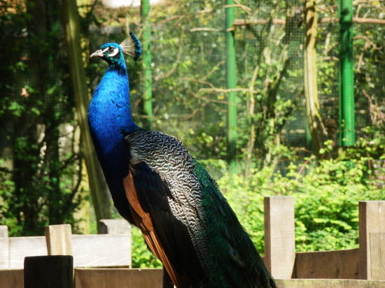 Zoo Schwerin