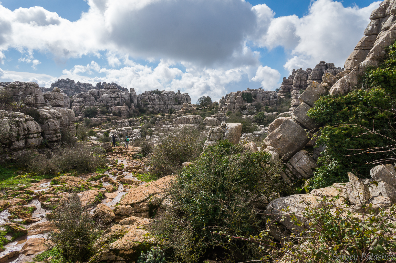 Royal Trail