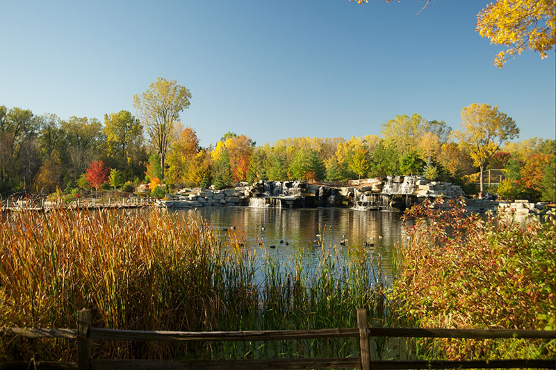 Bay Beach Wildlife Sanctuary