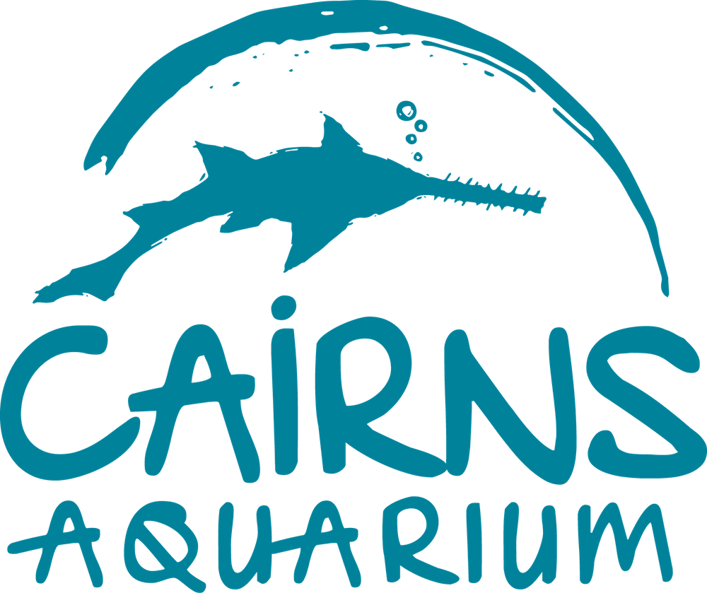 Cairns Aquarium