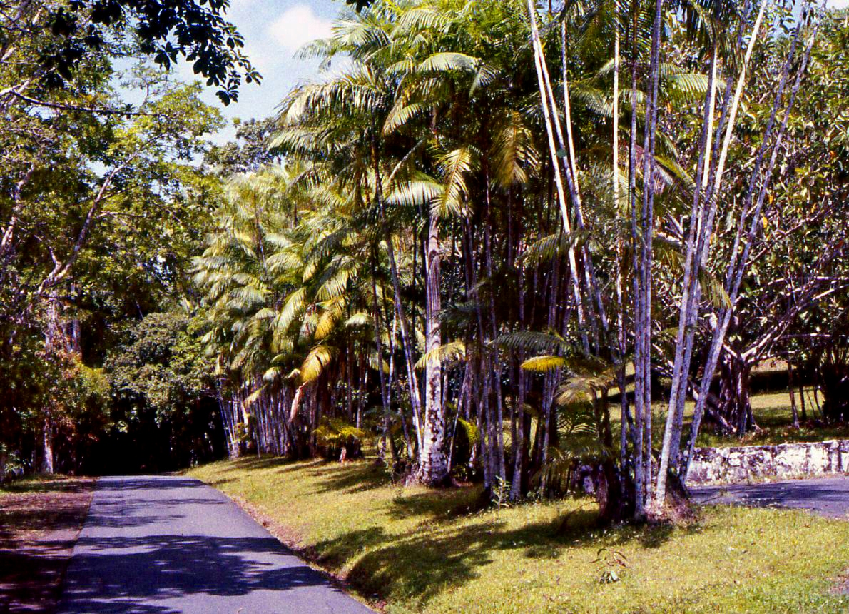 Summit Botanical Gardens