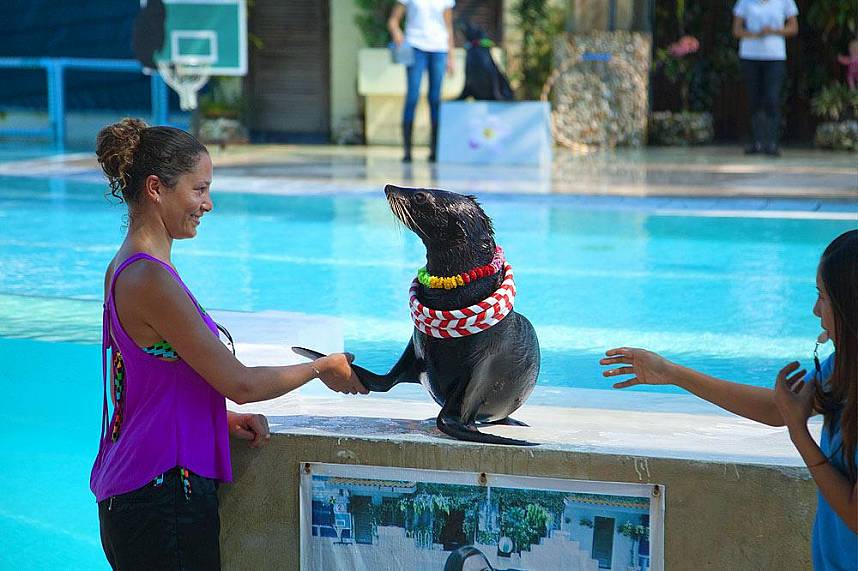 Samui Aquarium and Tiger Zoo