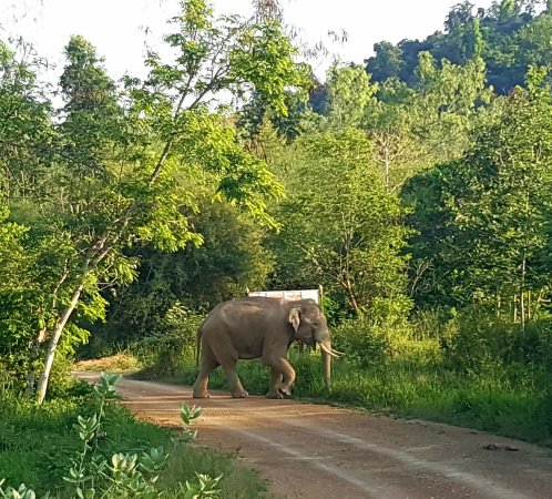 Kui Buri National Park