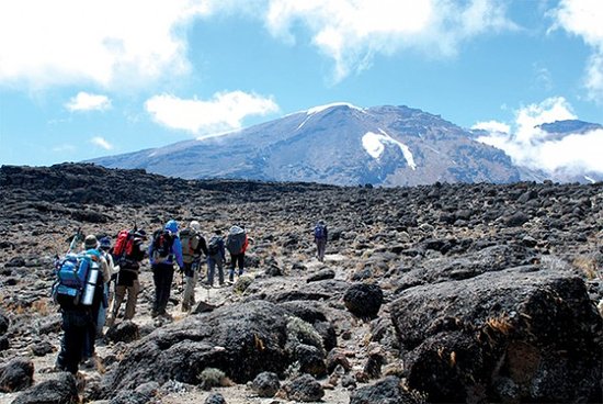 Kilimanjaro Friendship Trail
