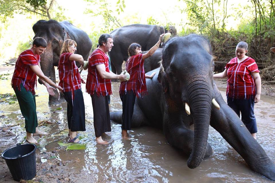 Maewang Elephant Care