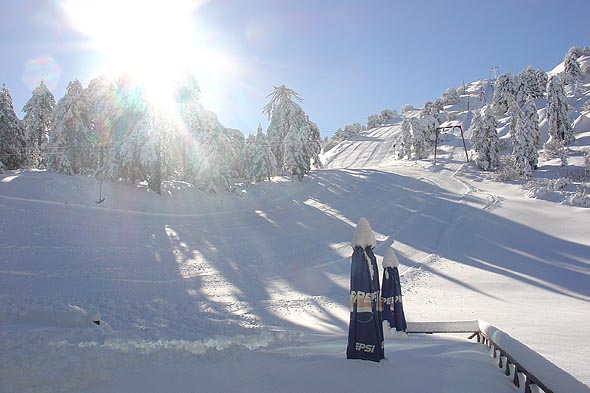 Cyprus Ski Federation & Club