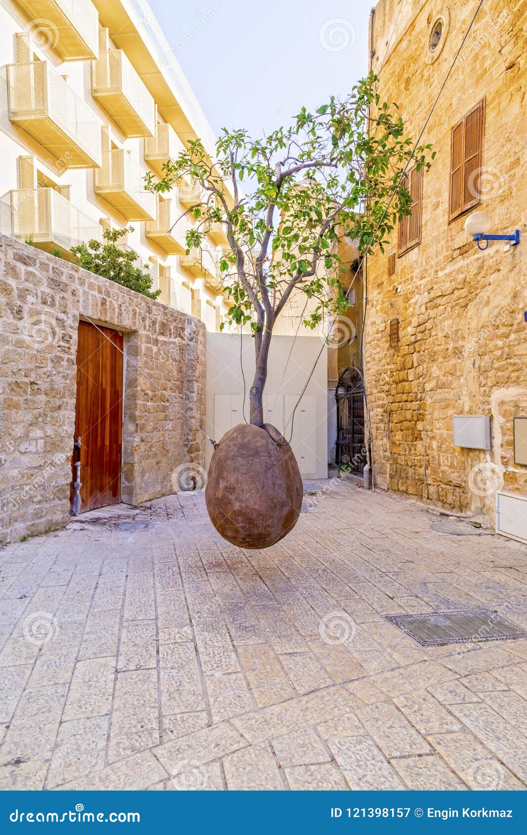 Suspended Orange Tree