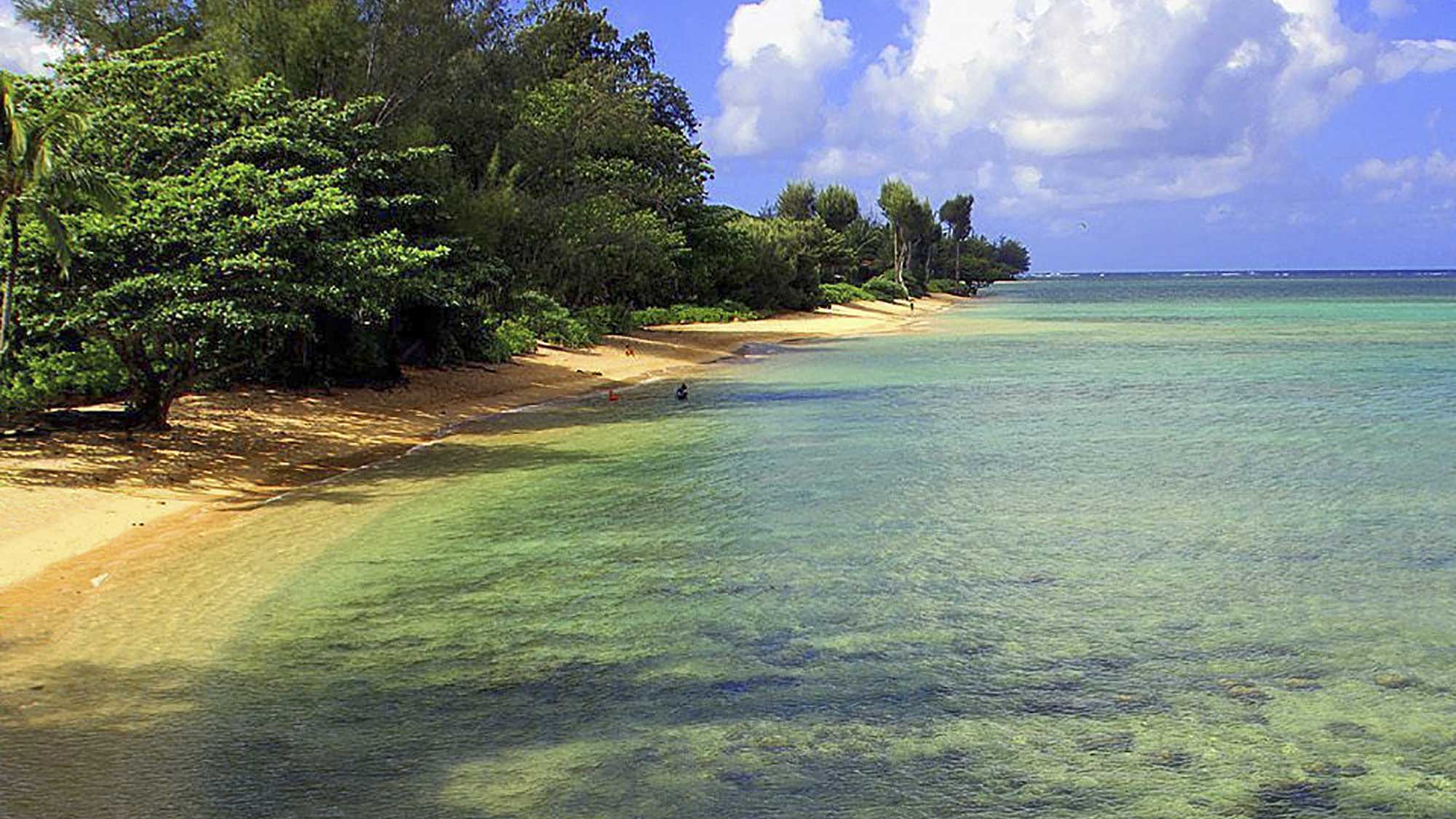 Anini Beach