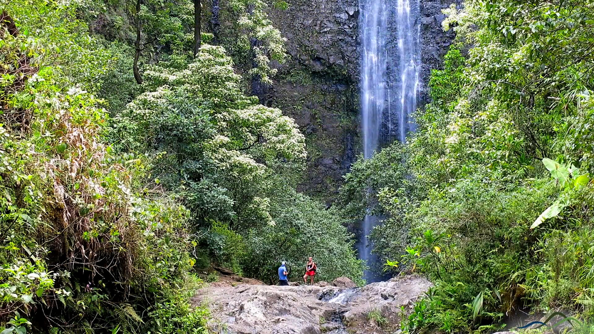 Makaleha Falls Trail