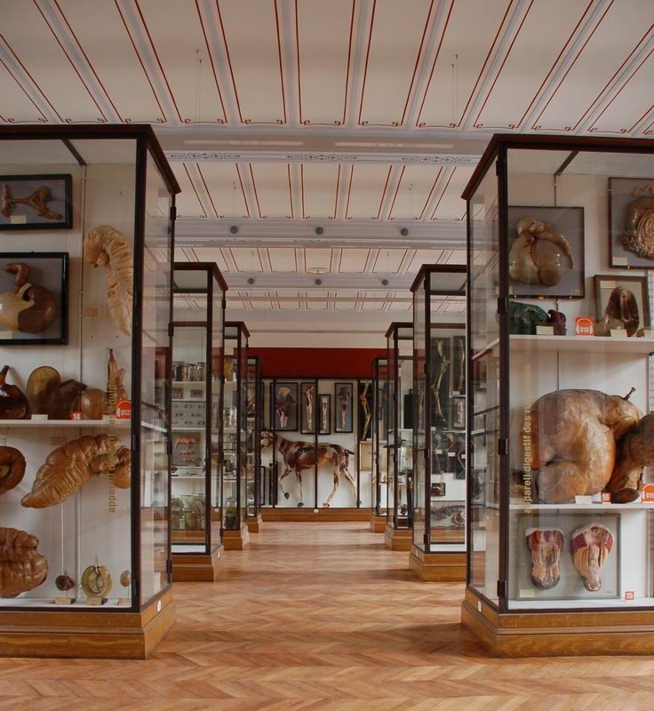 Musee Fragonard