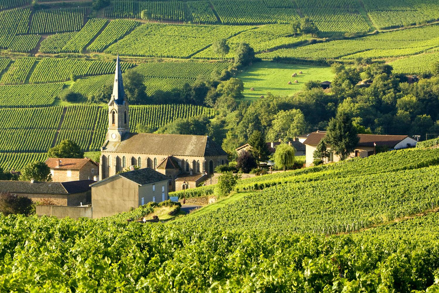 Bourgogne Randonnees