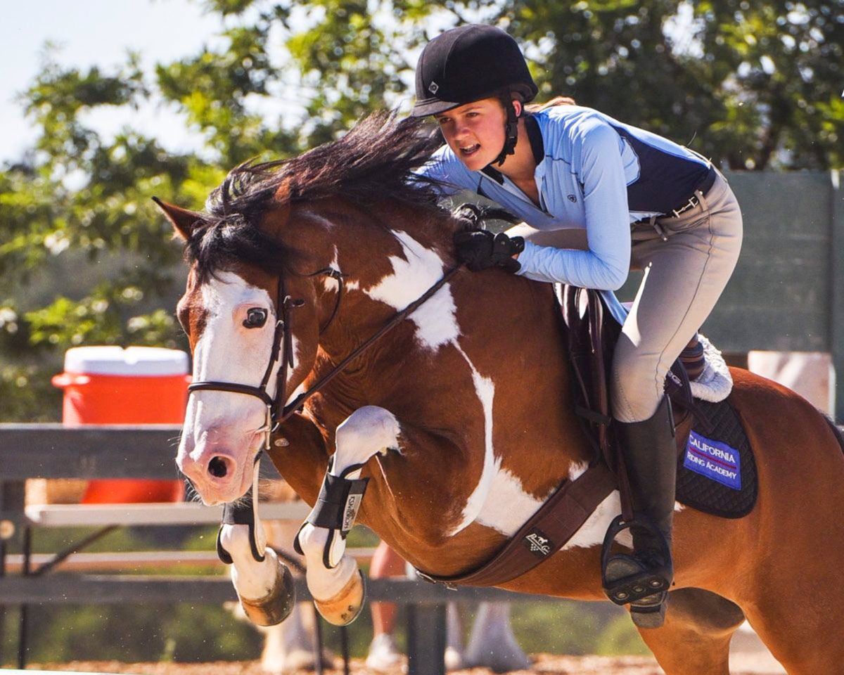 Creer Miura Horse Riding Club
