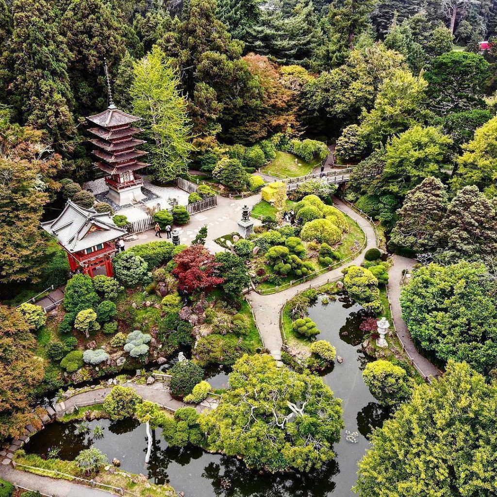 Taiji Tea Garden