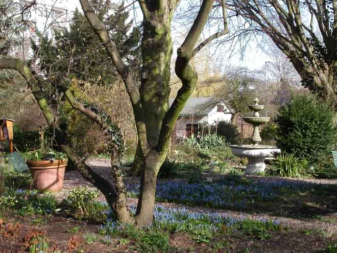 Botanische Tuin Afrikaanderwijk