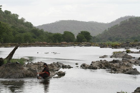 Cauvery Wildlife Sanctuary